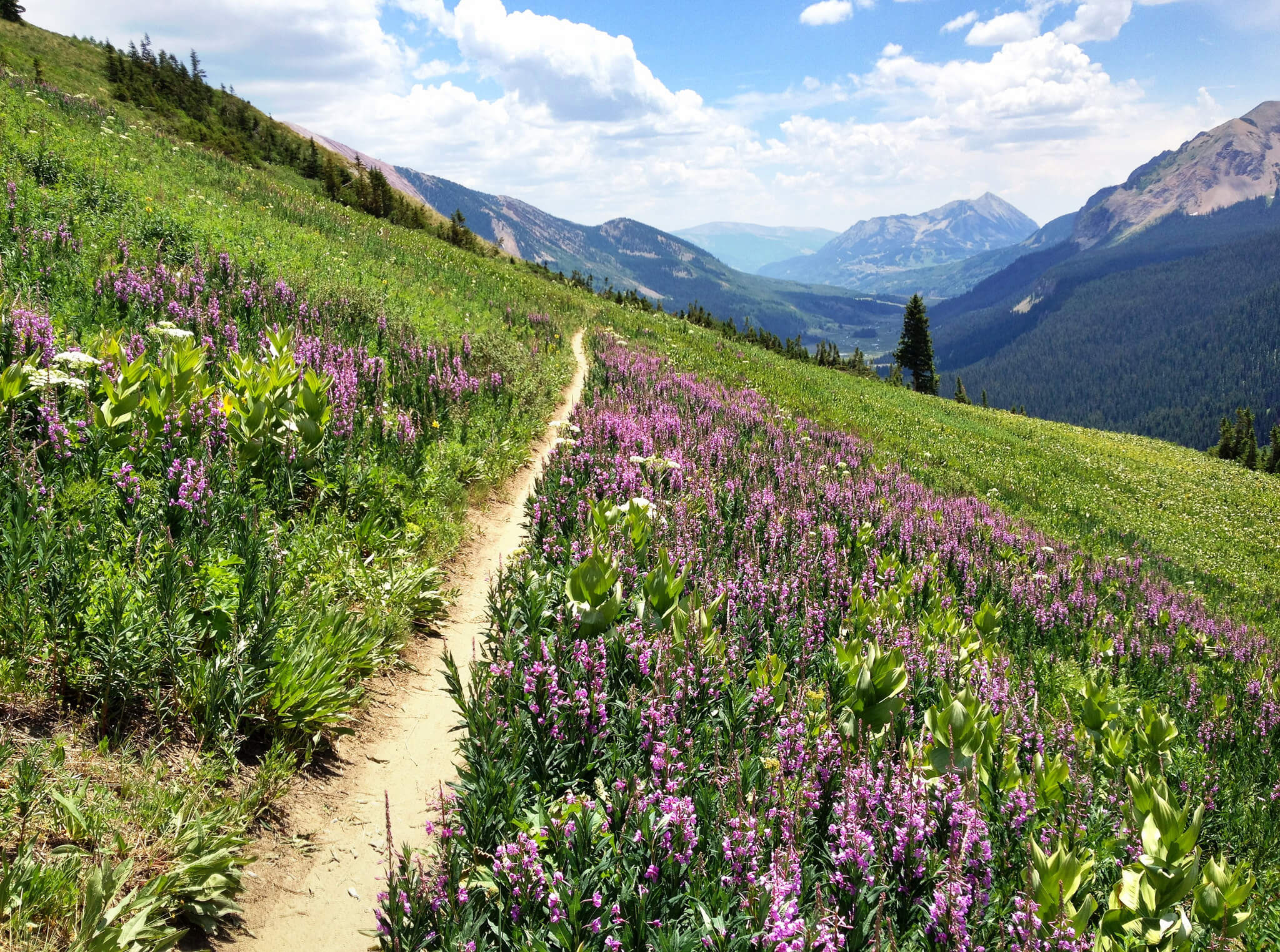 9 Things to do in Colorado this Spring | The Denver Ear