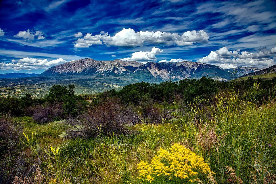 Wildflowers and Waterfalls: Amazing Spring Hikes in Colorado | The ...