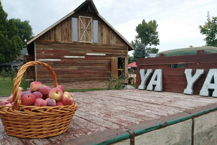 YA YA Farm Orchard 