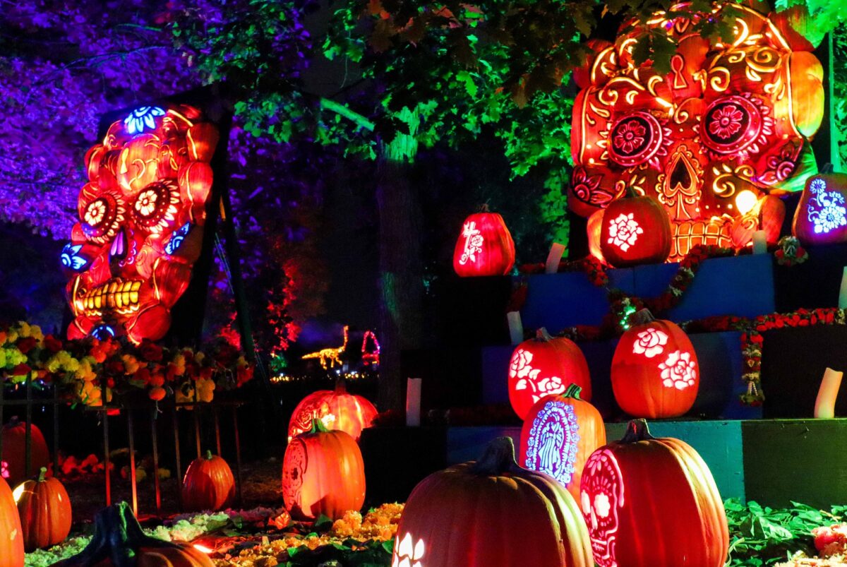 15 Thing to do in Denver Halloween 2021